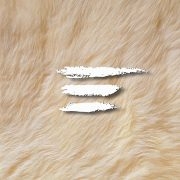 ERLAX