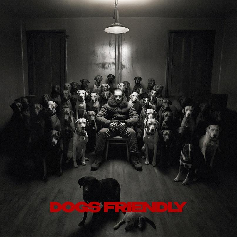 DOGS FRIENDLY